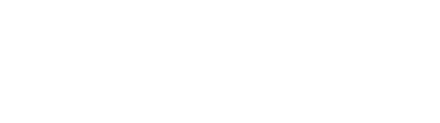 SMAFLEX Services